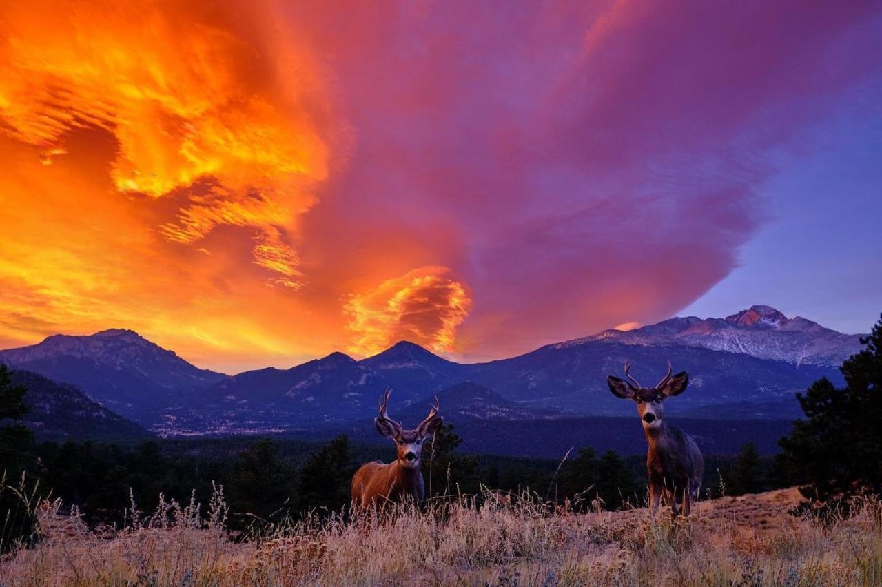 The Twin Owls 21A Condo Estes Park Exterior foto